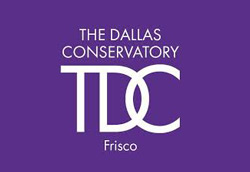 Frisco summer camps